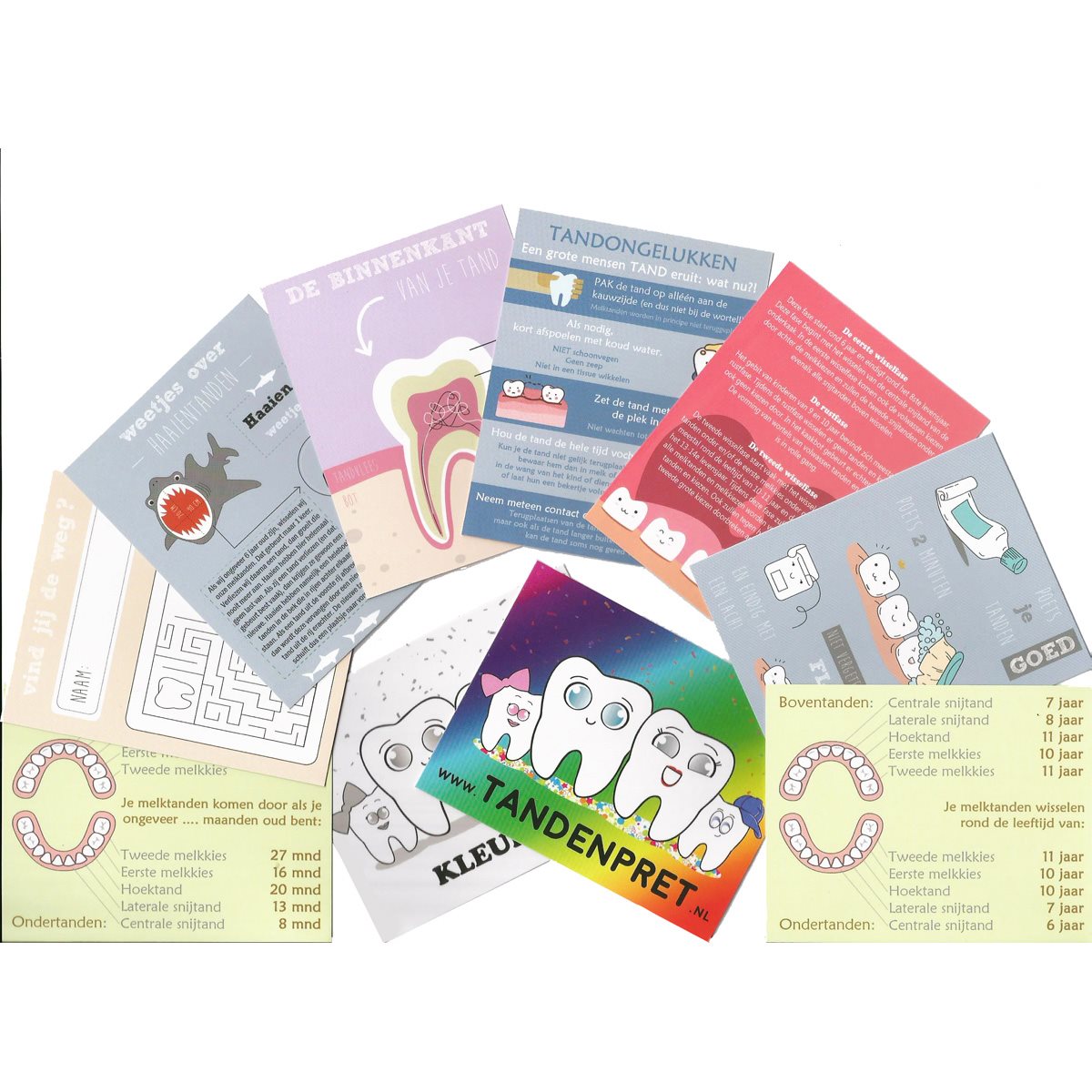 Tandenboekje Nijl en beer - Afbeelding 5