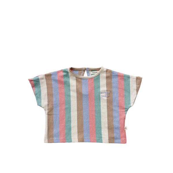 Your Wishes crop top