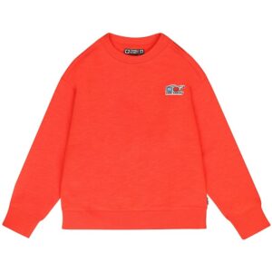 Tumble sweater Accelerator