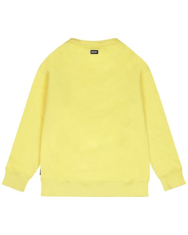 Tumble sweater la piscine - Afbeelding 3