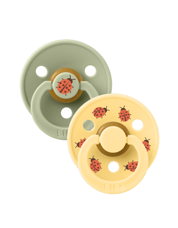 Bibs 2-pack ladybug