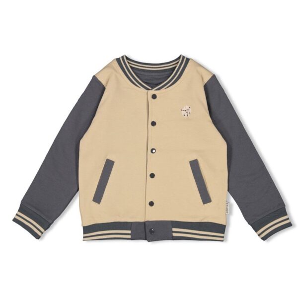 Sturdy reversible vest