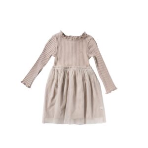 Your Wishes tule dress
