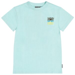 Tumble 'n Dry t-shirt Reef