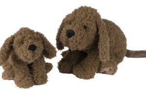 HH labradoodle Larry