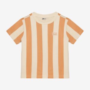 Daily7 t-shirt big stripe