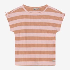 Daily7 t-shirt fancy stripe