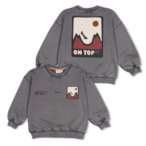 Sturdy sweater met backprint