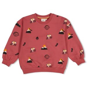 Sturdy sweater mountain top