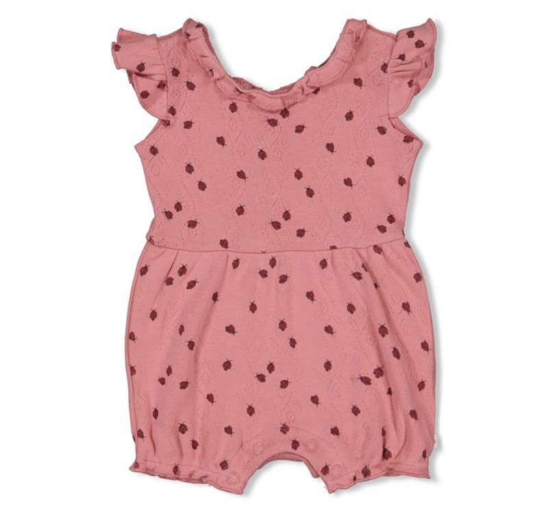 Feetje-playsuit-ladybug-Feetje-260413225549.jpg