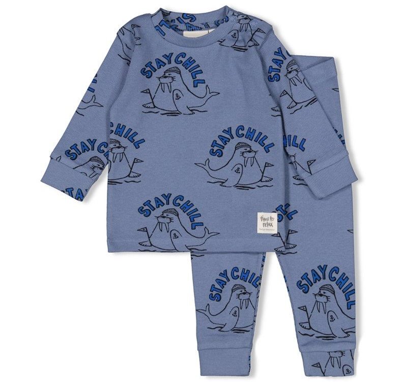 Feetje-pyjama-Willy-Walrus-Feetje-251119202248.jpg