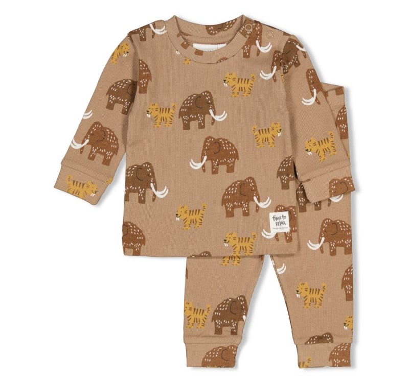 Feetje-pyjama-olifant-Feetje-261006220612.jpg