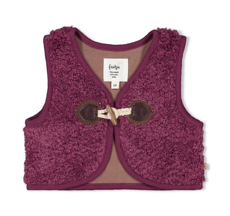 Feetje-teddy-gilet-Feetje-250918134157.jpg