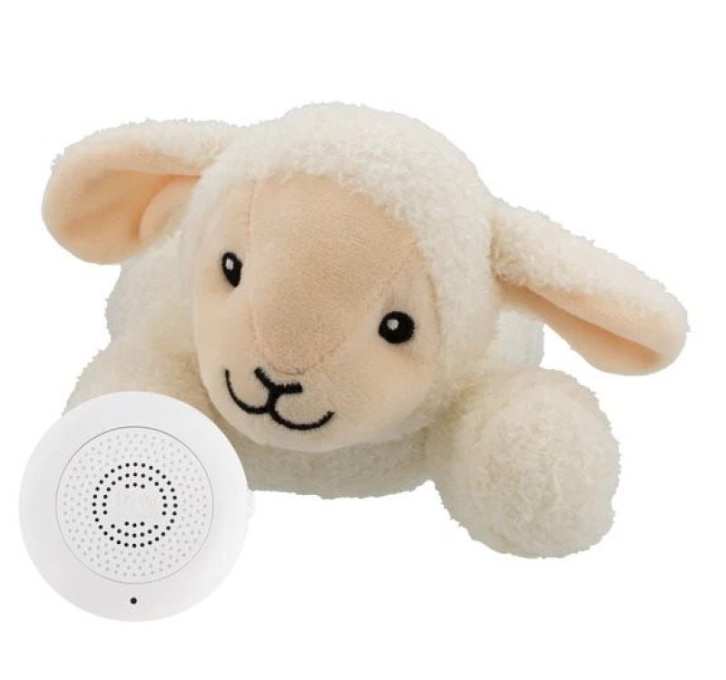 Flow-Rosie-hartslagknuffel-Flow-Amsterdam-260522143823.jpg