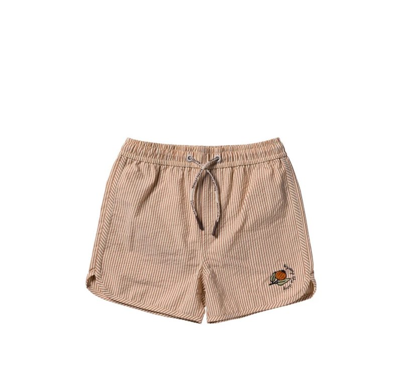 Salted-Stories-swimshort-Salted-Stories-260415225118.jpg