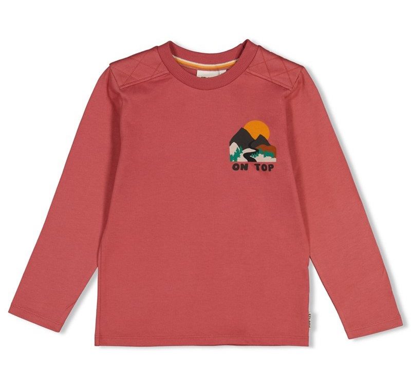 Sturdy-longsleeve-mountain-top-Sturdy-260830120547.jpg