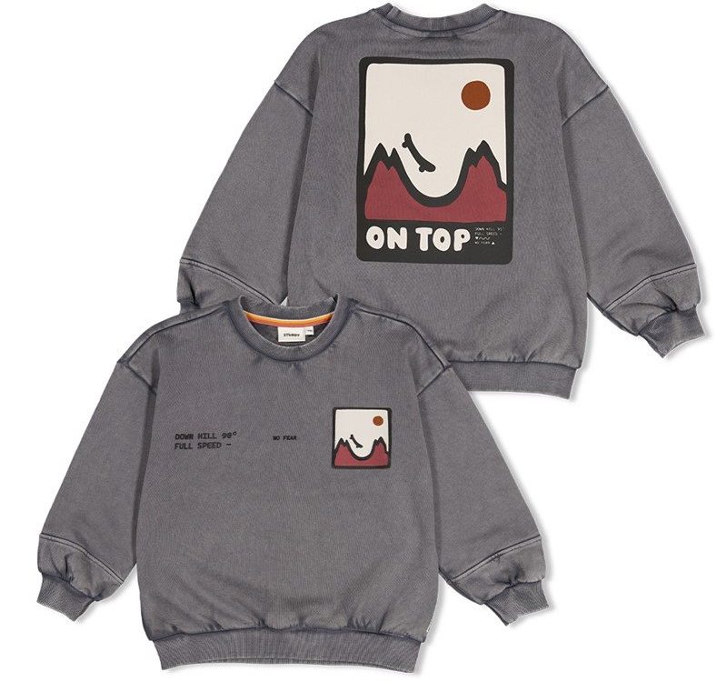 Sturdy-sweater-met-backprint-Sturdy-260830123749.jpg