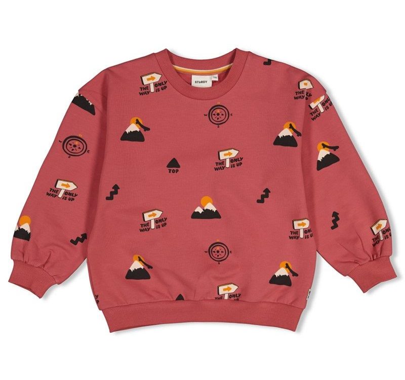 Sturdy-sweater-mountain-top-Sturdy-260830123255.jpg