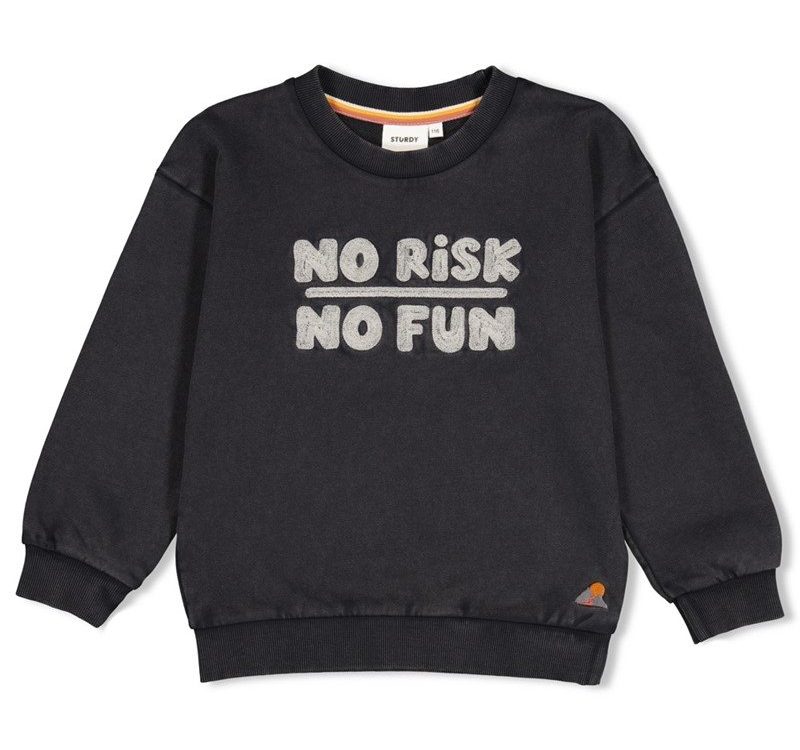 Sturdy-sweater-no-risk-no-fun-Sturdy-260830123017.jpg