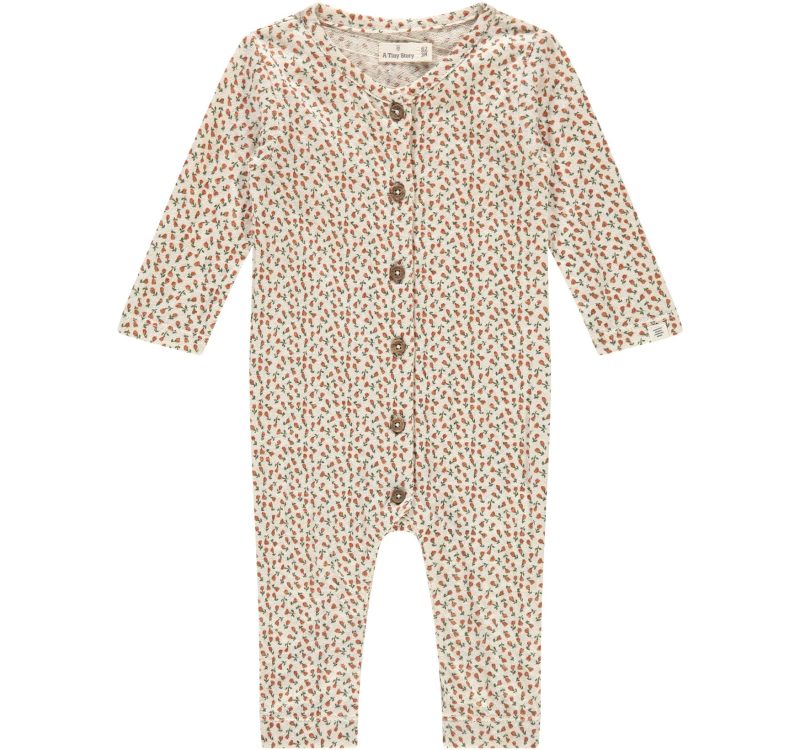 Tiny-story-babysuit-A-Tiny-story-250911094229.jpg
